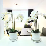 Schneider Steinhude Apartmán