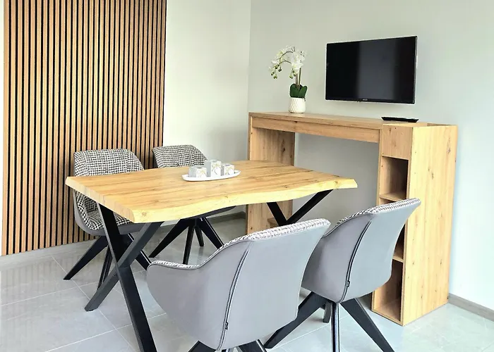 Schneider Steinhude 公寓 *