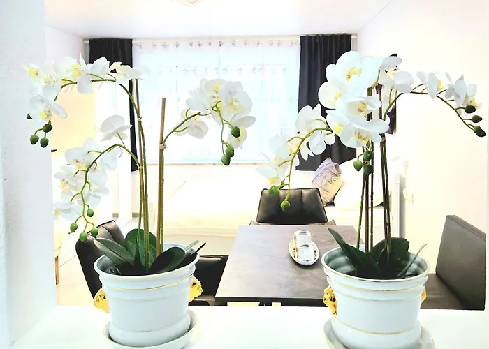 Schneider Steinhude 公寓